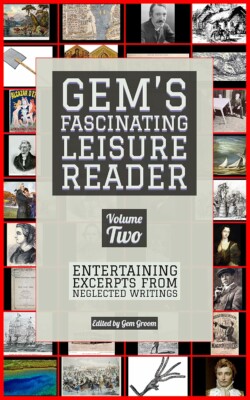 <a href="https://www.gemspress.earth/gems-fascinating-leisure-reader-volume-two/" target="_blank" rel="noopener"><em><strong>Gem's Fascinating Leisure Reader, Volume Two</strong></em></a> for <a href="https://www.gemspress.earth/about-gems-press/" target="_blank" rel="noopener">Gems Press</a>