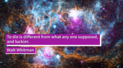 <a href="https://youtu.be/tlxPO9bEn7g" target="_blank" rel="noopener"><em><strong>What Happens When We Die?</strong></em></a>